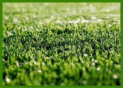 Artificial Turf, Artificial Grass, Synthetic Turf, Synthetic Grass, Artificial Lawn Turf