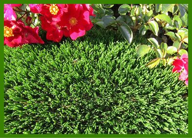 Artificial Turf, Artificial Grass, Synthetic Turf, Synthetic Grass, Artificial Lawn Turf