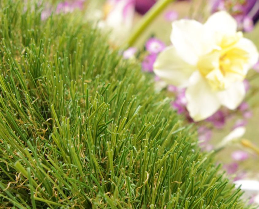 3D Grass - Genesis Turf