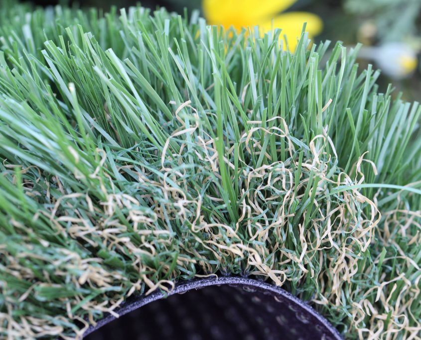 Emerald Genesis Turf