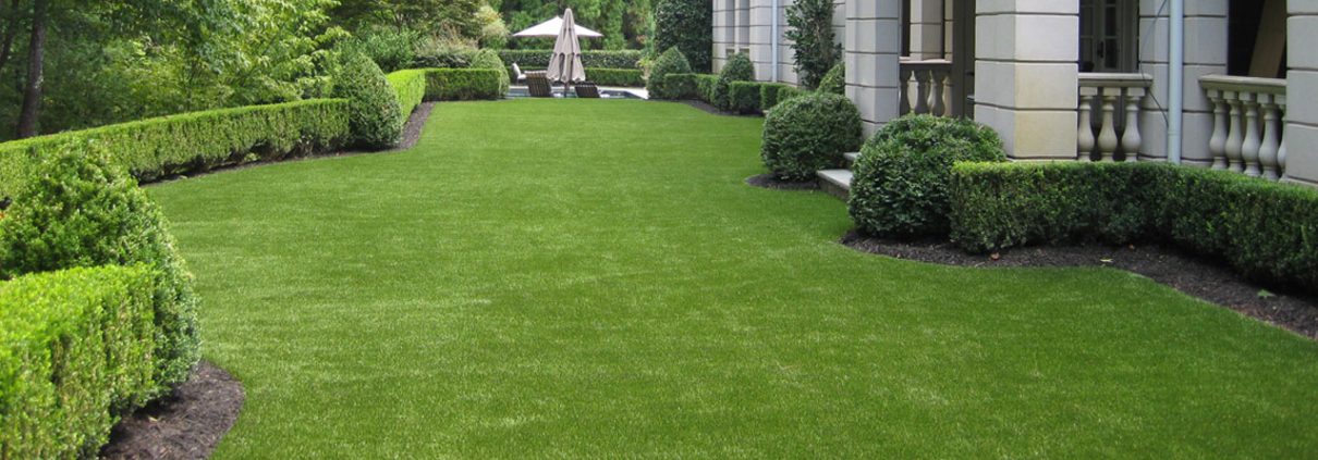 artificial lawn