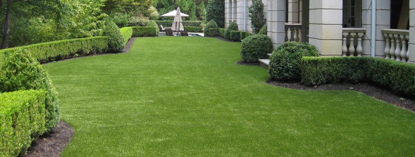 artificial lawn