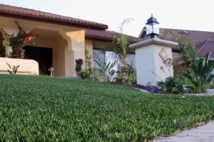 Artificial Turf, Artificial Grass, Florida, Orlando, Tampa