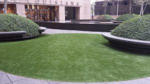 Commercial Artificial Turf, Artificial Turf, Artificial Grass, Landscape Turf