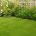 Artificial Grass, Artificial Turf, Artificial Lawn Turf